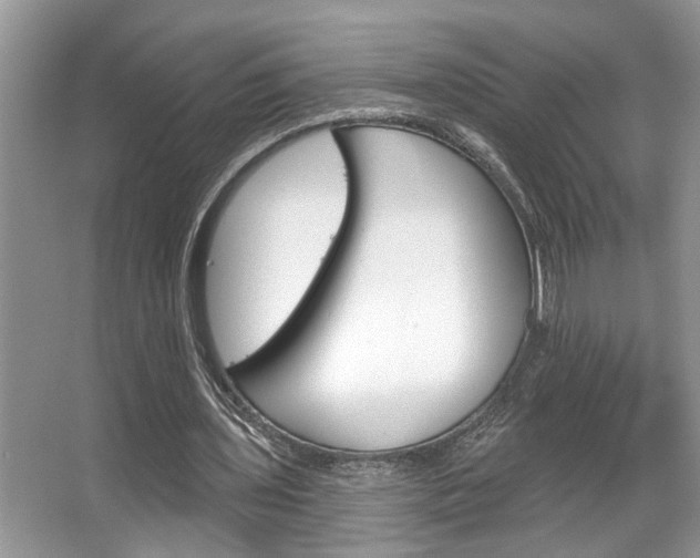 X0000067840435200604130948