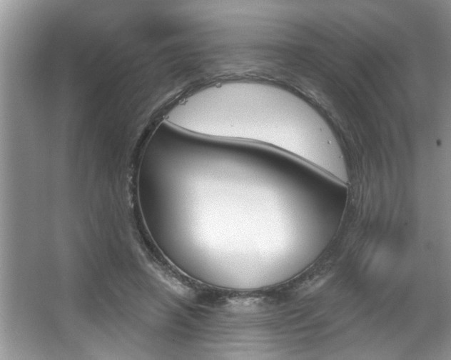 X0000067840450200604130949