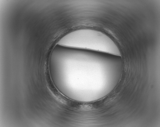 X0000067840451200604130949