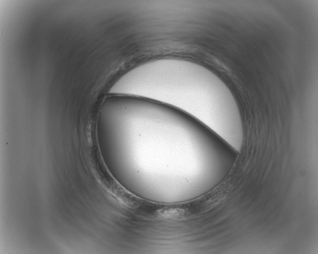 X0000067840452200604130949