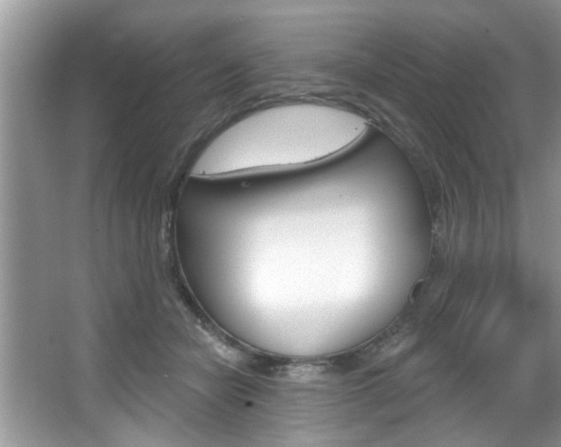 X0000067840462200604130949
