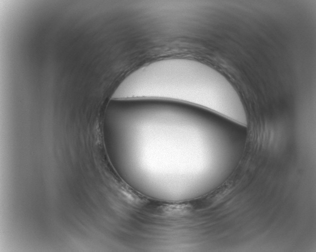 X0000067840465200604130949