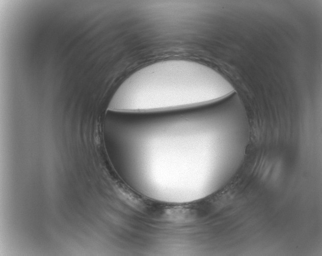 X0000067840470200604130949