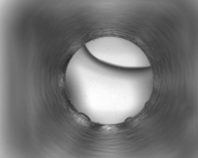 X0000067840477200604130949