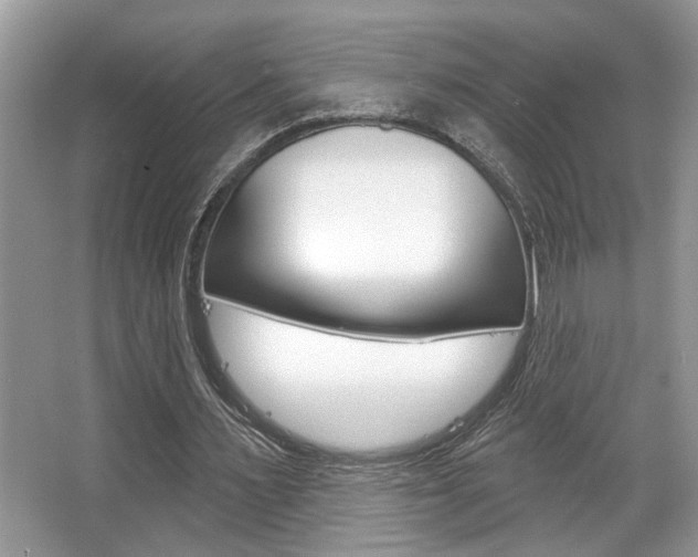 X0000067840483200604130948