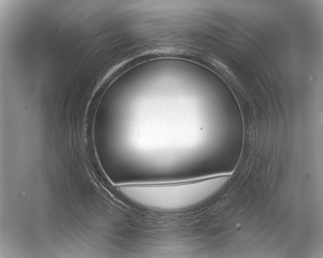 X0000067840484200604130948