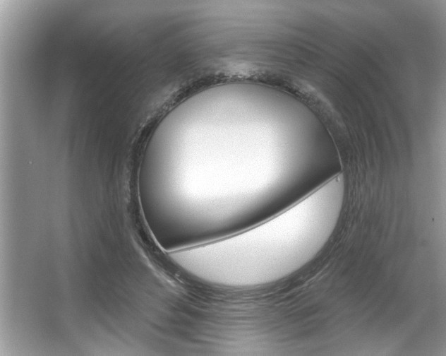 X0000067840496200604130948