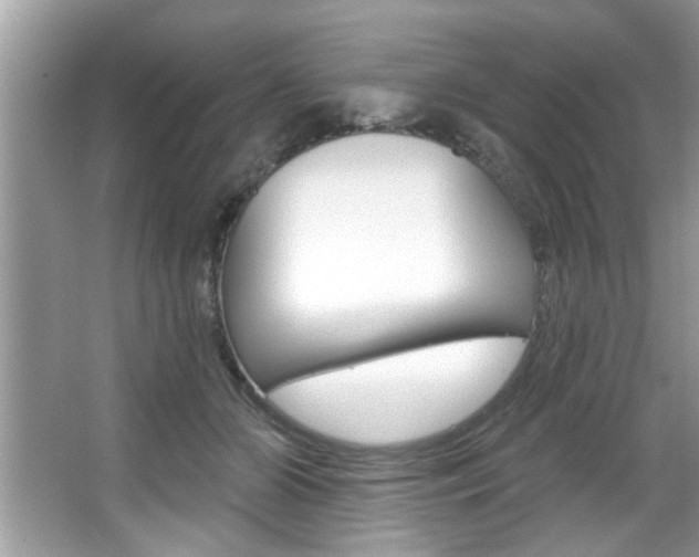 X0000067840510200604130948