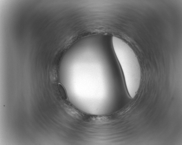 X0000067840517200604130948
