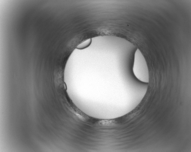X0000067840526200604130947