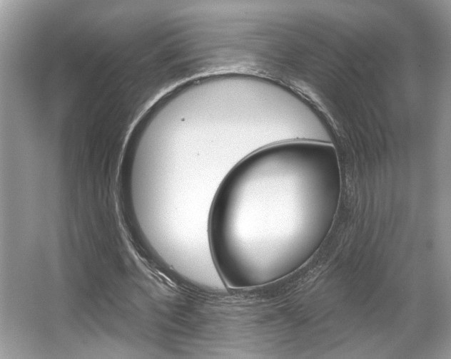 X0000067840532200604130947