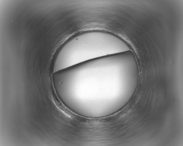 X0000067840533200604130947