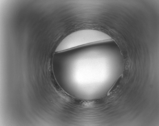 X0000067840560200604130947