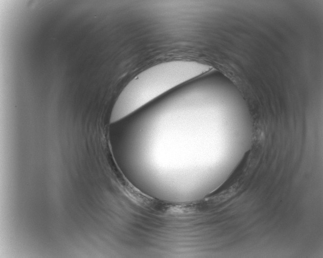 X0000067840568200604130947