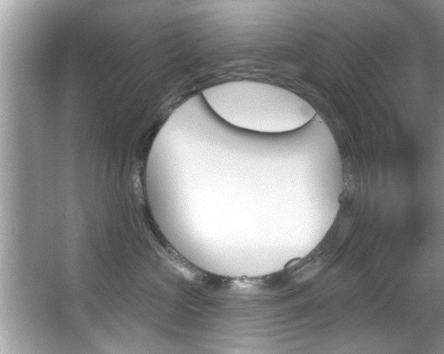 X0000067840573200604130947