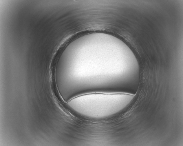 X0000067840584200604130946