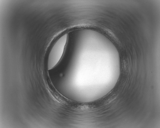 X0000067840588200604130946