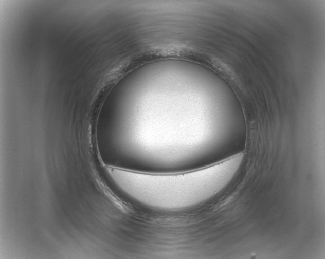 X0000067840589200604130946