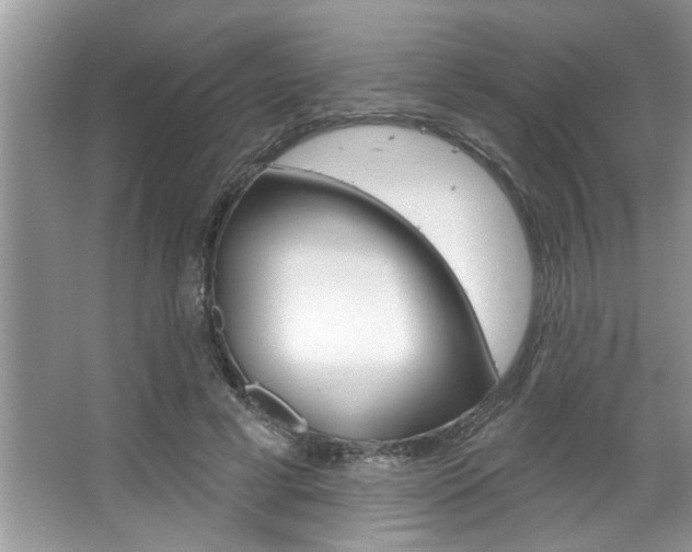 X0000067840593200604130946
