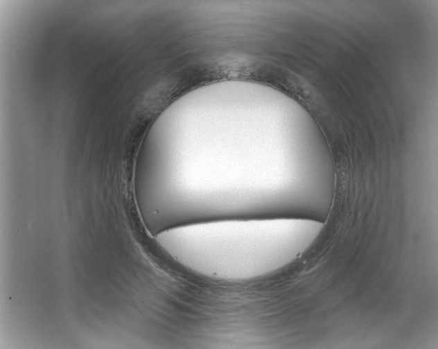 X0000067840594200604130946
