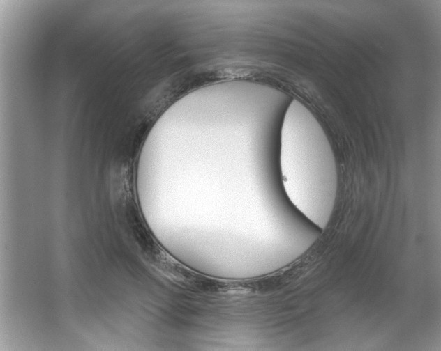 X0000067840598200604130946
