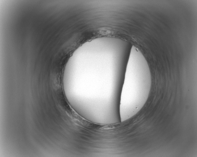 X0000067840606200604130946