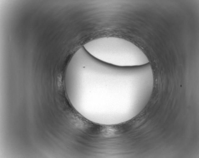 X0000067840610200604130946