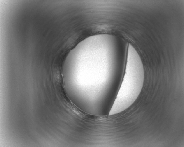X0000067840617200604130946