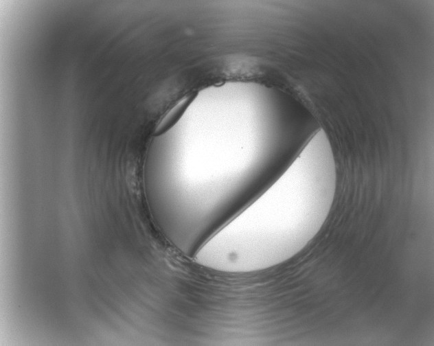 X0000067840619200604130946