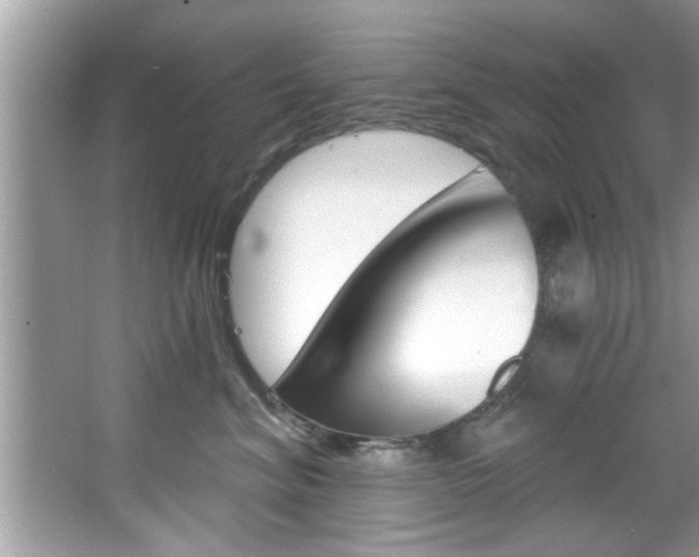 X0000067840620200604130946