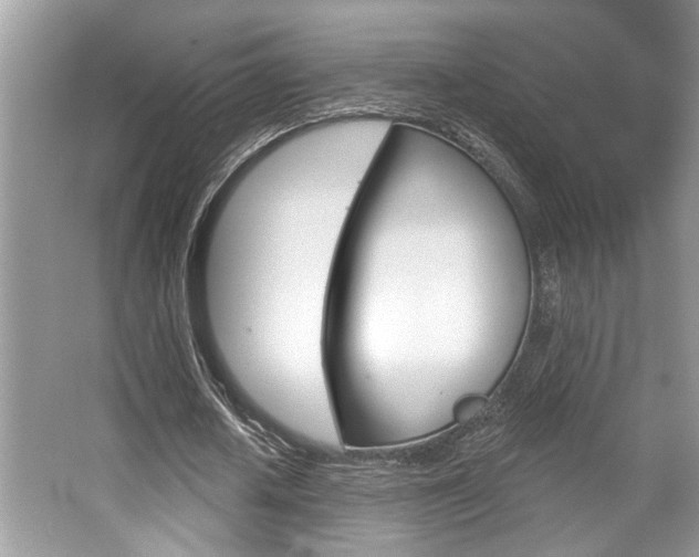 X0000067840626200604130945