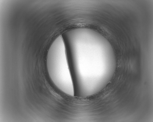 X0000067840646200604130945