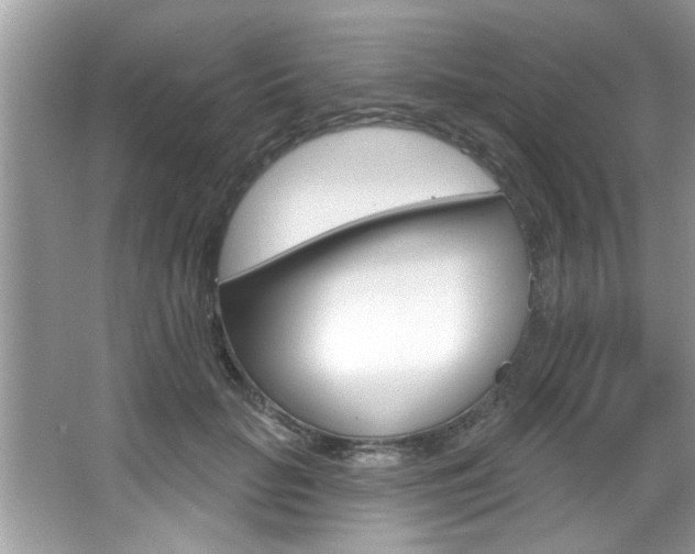 X0000067840653200604130945