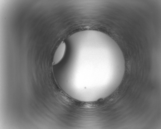 X0000067840657200604130946