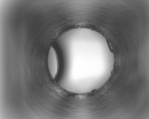 X0000067840660200604130946