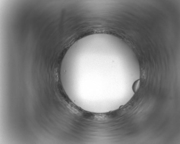 X0000067840666200604130946