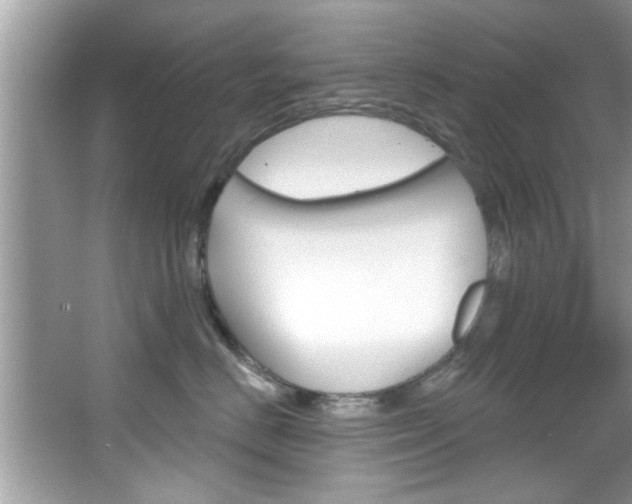 X0000067840670200604130946
