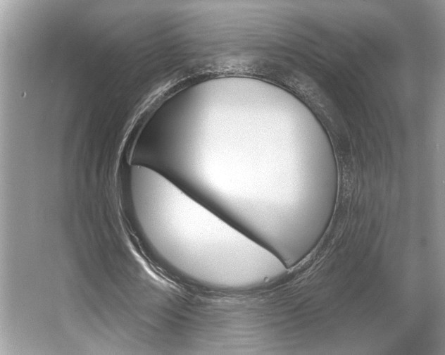 X0000067840674200604130945