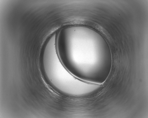 X0000067840677200604130945