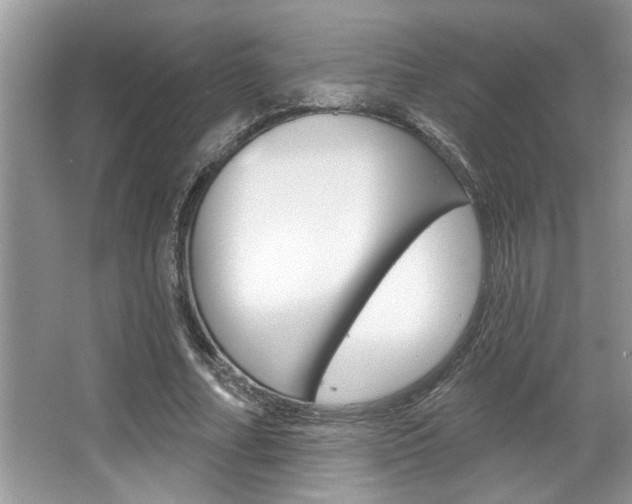X0000067840682200604130945
