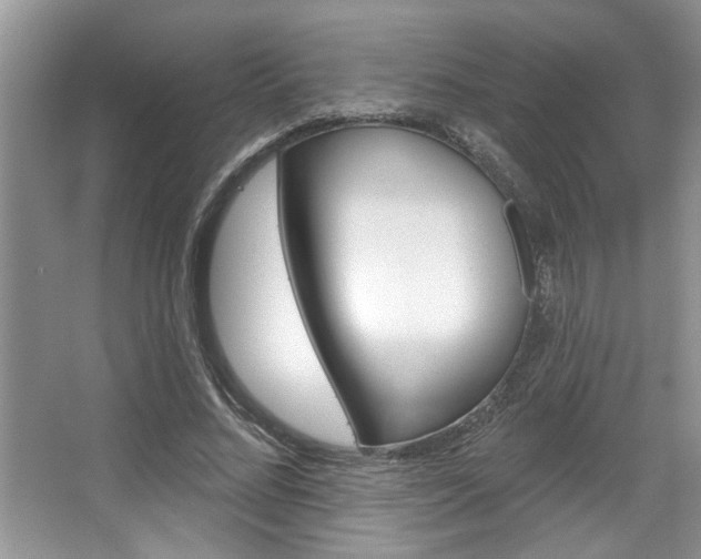 X0000067840684200604130945