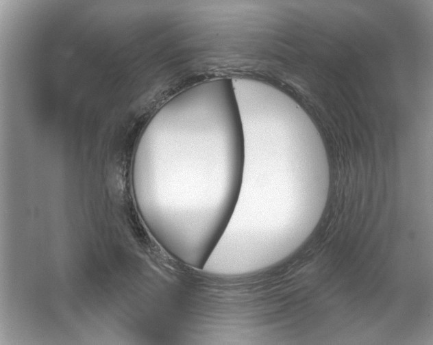 X0000067840691200604130945