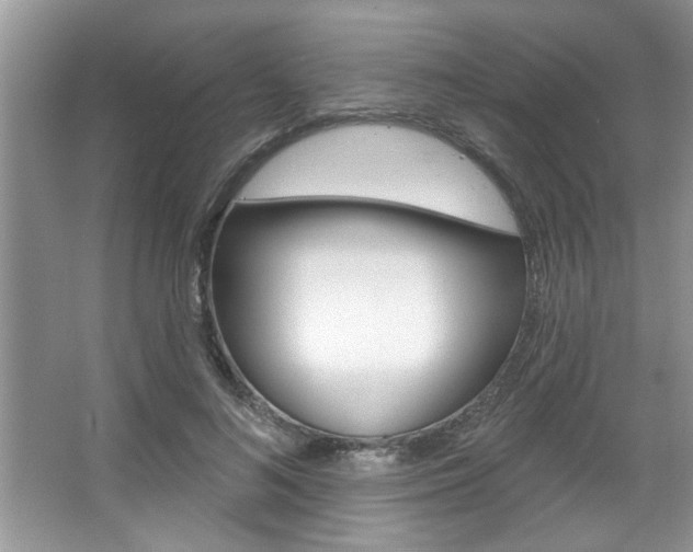 X0000067840692200604130945