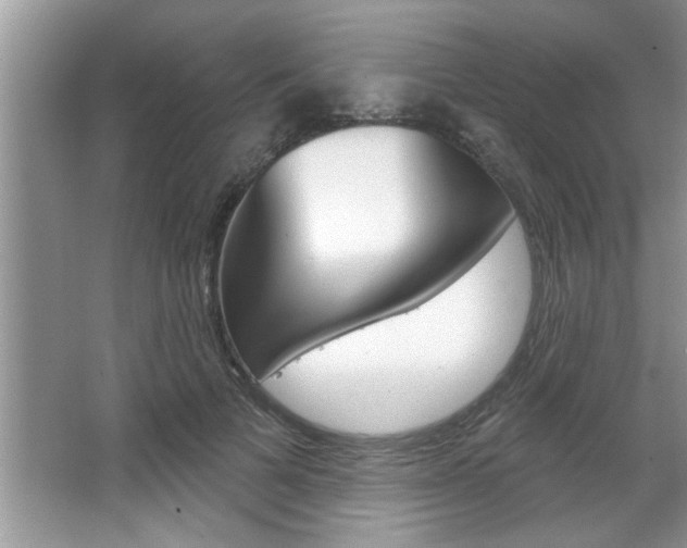 X0000067840697200604130945
