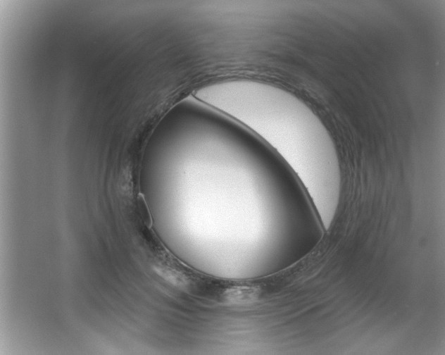 X0000067840700200604130945