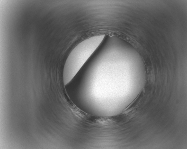 X0000067840712200604130944
