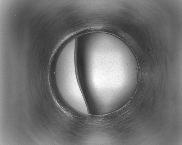 X0000067840728200604130944
