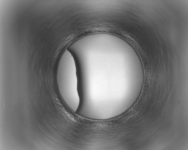 X0000067840729200604130944
