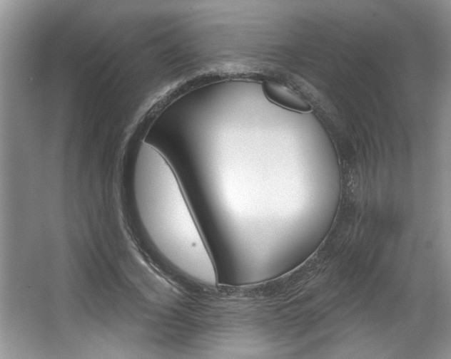 X0000067840732200604130944
