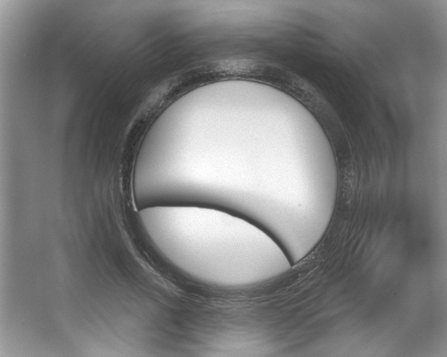 X0000067840734200604130944